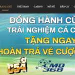 nha-cai-c54